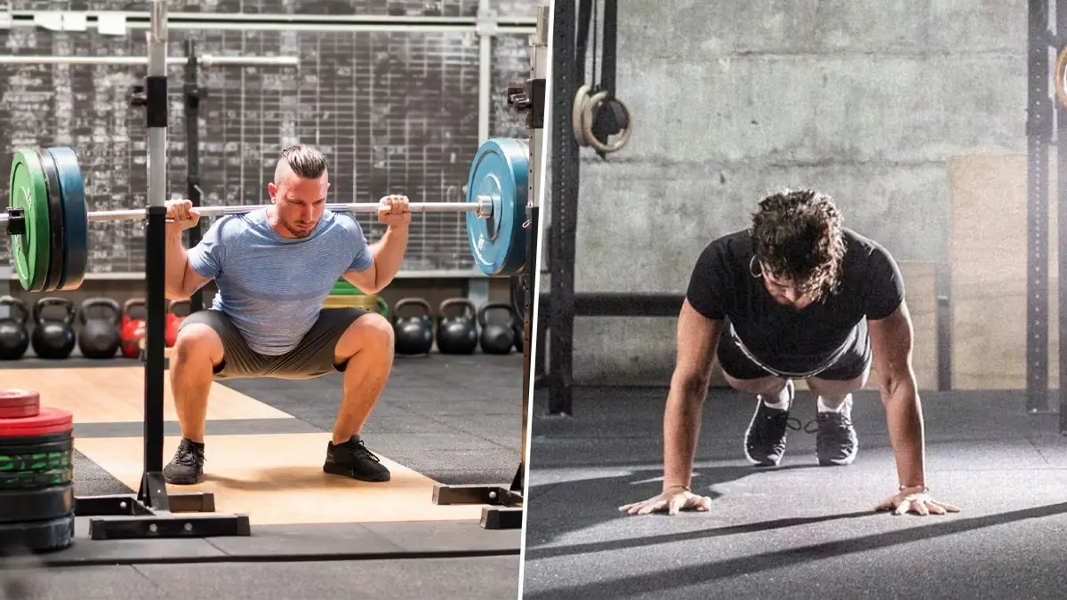 Squat and push-ups are free weight execises