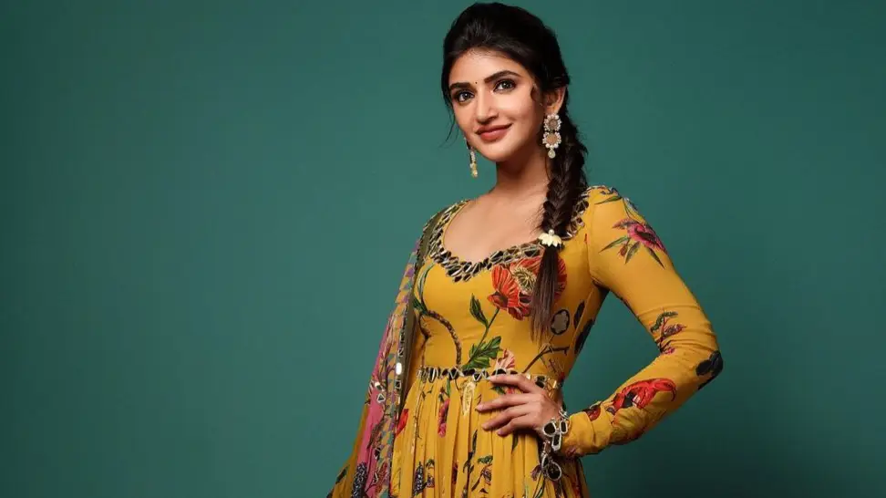 Description of the pic