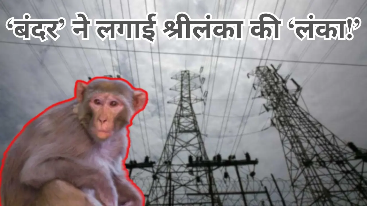 Sri lanka blackout news