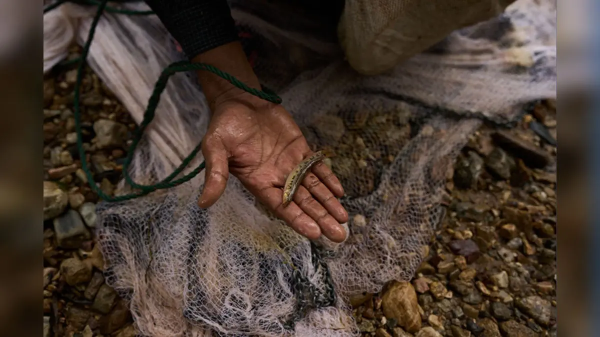 Starving Children Screaming For Food As US Aid Cuts Unleash Devastation And Death Across Myanmar