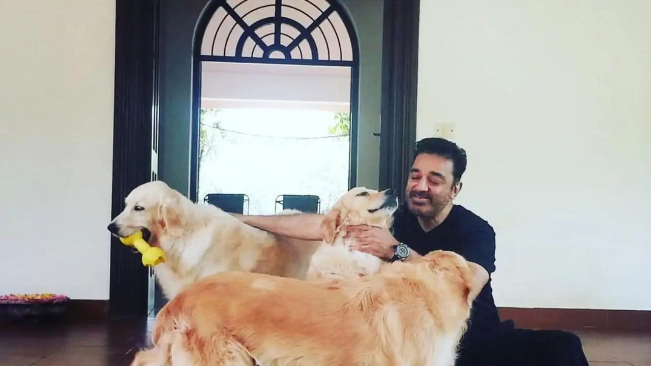 Step Inside Kamal Haasan’s Boat Club Road Sky-Villa, Thug Life Actor's ₹19 Crore House Offers Lakeside Serenity And Neotraditional Artistry Step Inside Kamal Haasan’s Boat Club Road Sky-Villa, Thug Life Actor's ₹19 Crore House Offers Lakeside Serenity And Neotraditional Artistry