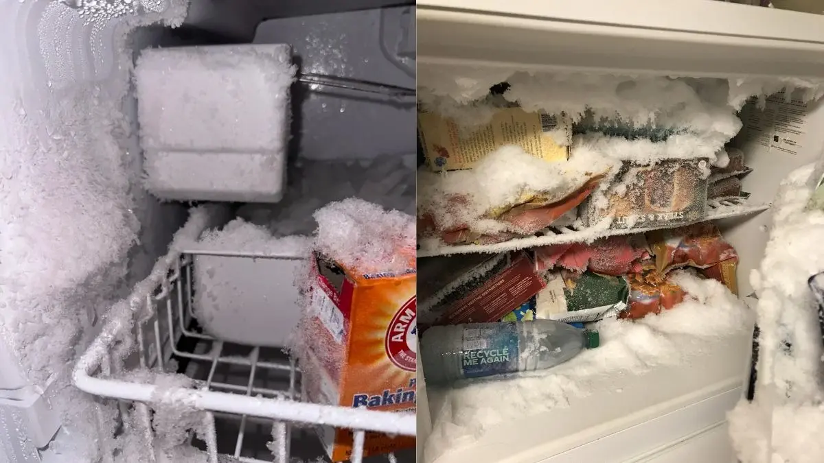 Stop Ice Formation In Deep Freezer