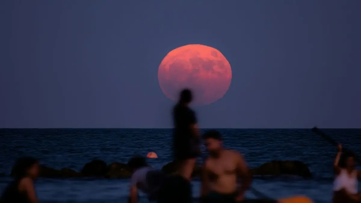 Strawberry Moon 2025