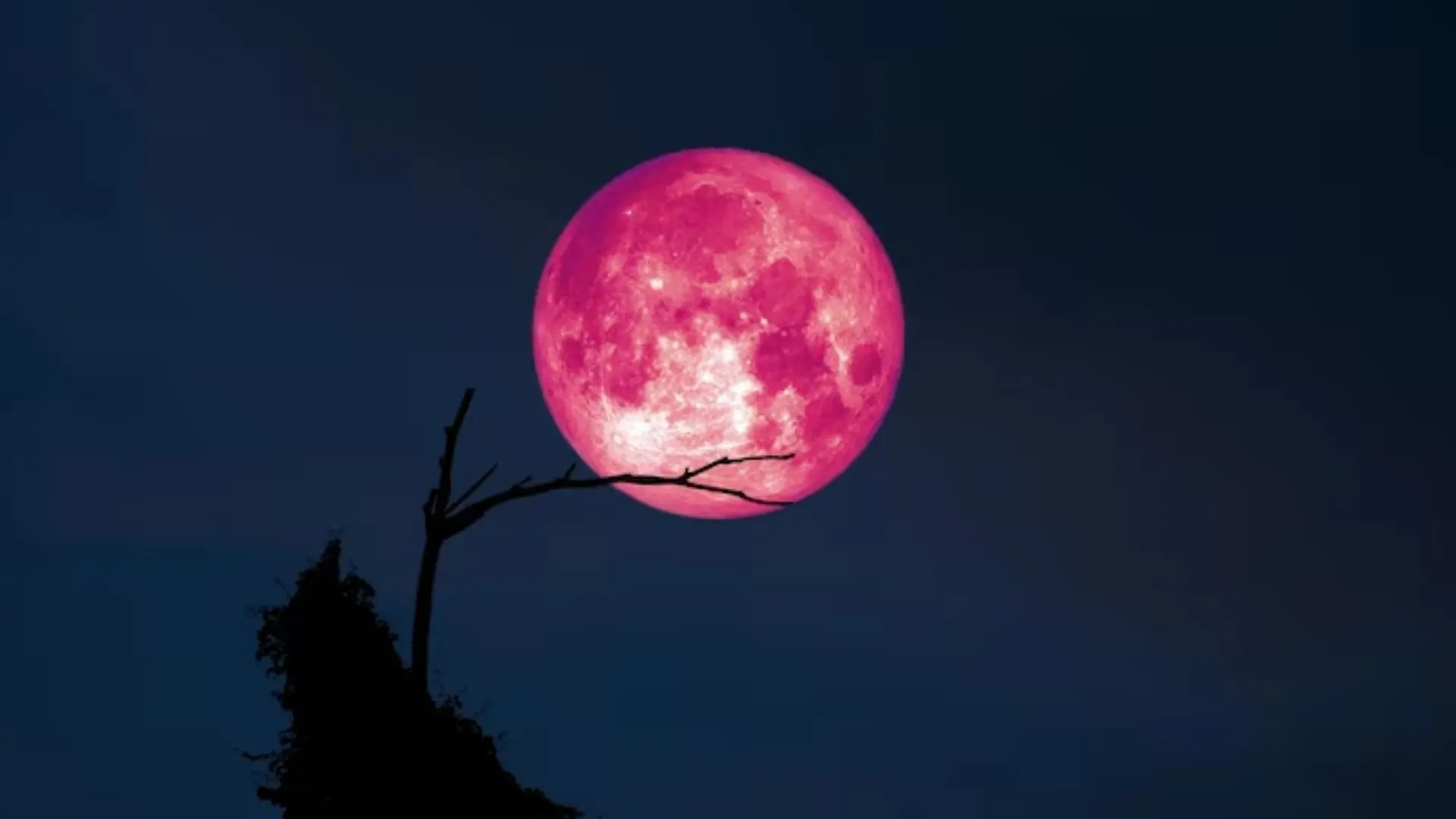 Strawberry Moon 2025