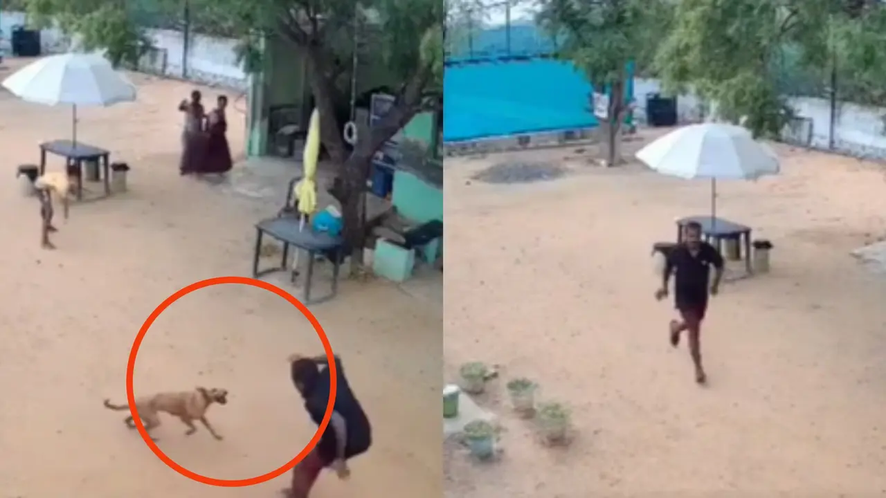 Video: Stray Dog Attacks 8-Year-Old Boy, Father Outside Their House In Tamil Nadu's Madurai stray dog