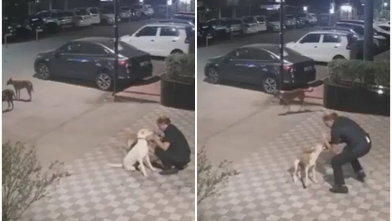 Stray Dog Attacks Elderly Security Guard at Society Gate, Disturbing Video Emerges