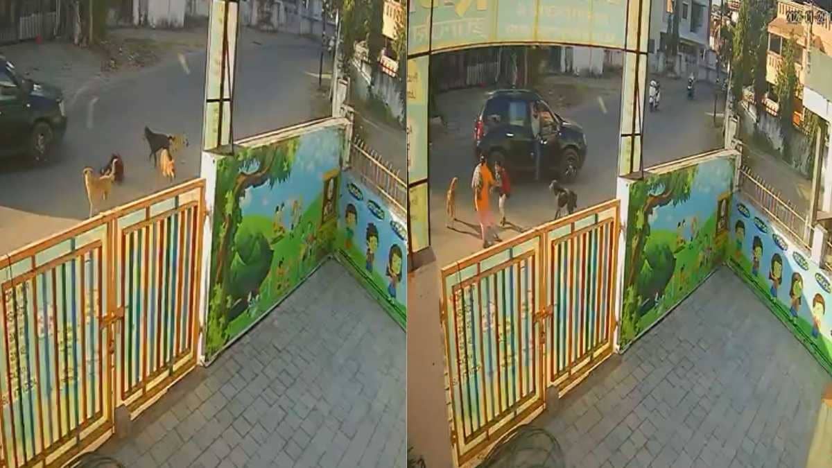 Stray Dog Menace In Vadodara: Four Canines Attack Child Walking Down A Road | CCTV Footage Inside