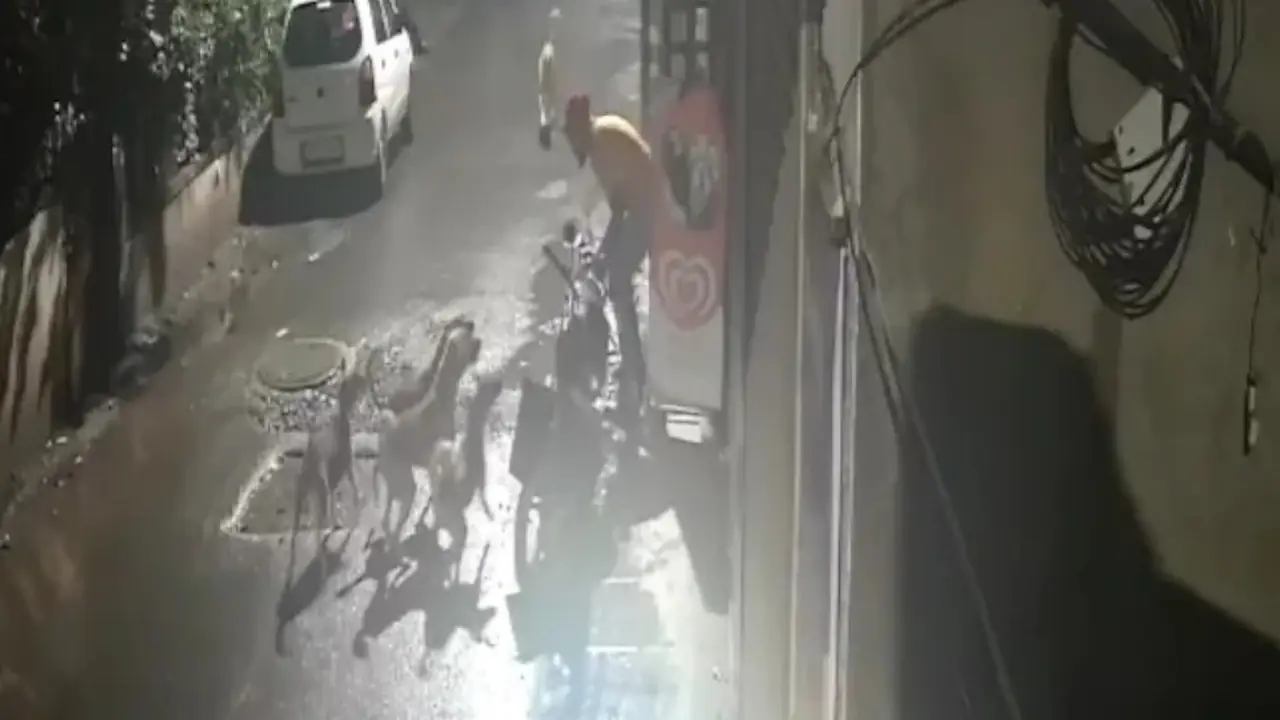 Stray Dogs Attack Man in Maharashtra, Dramatic Escape Video Goes Viral