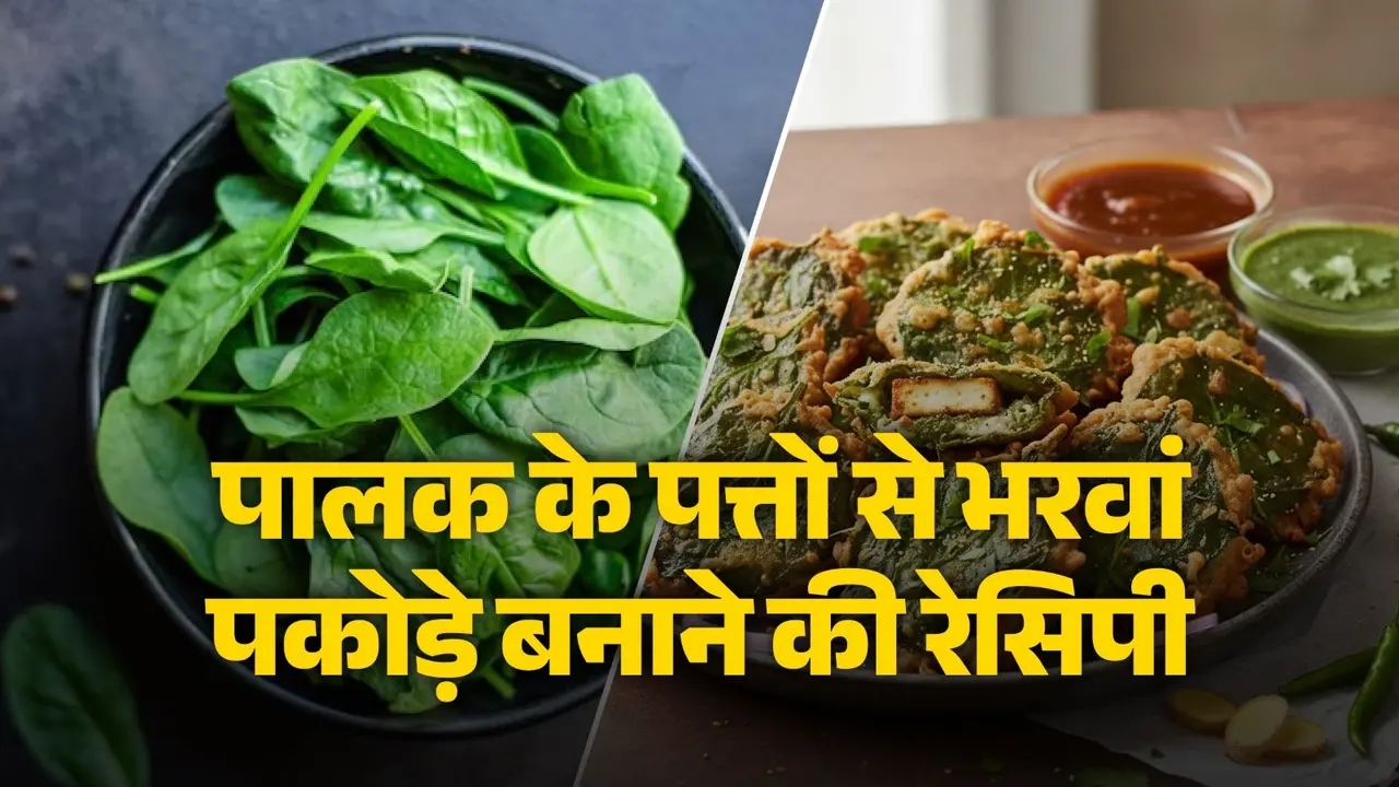 Stuffed Palak Patta Pakora Recipe: घर पर पालक के पत्तों से बनाएं भरवां पकोड़े, शाम की चाय का स्वाद हो जाएगा डबल, नोट कर लें आसान रेसिपी stuffed palak patta pakora recipe Indian snacks spinach pakoda
