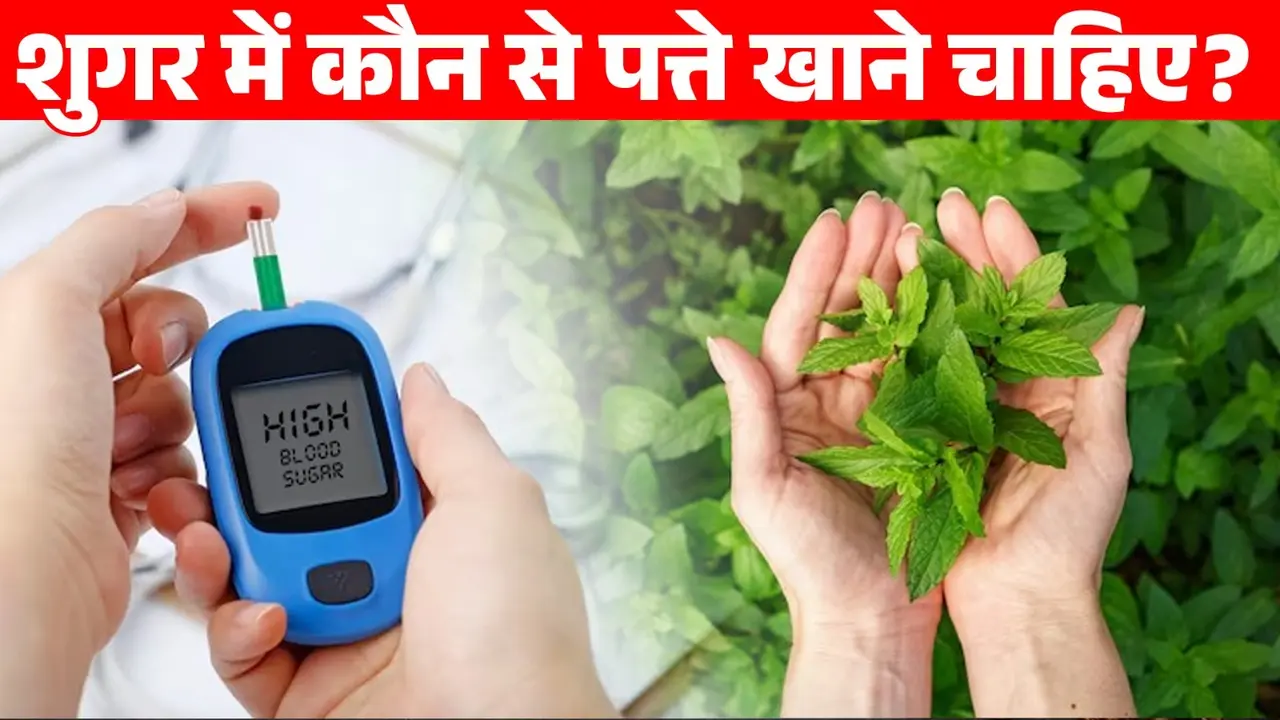 Leaves For Blood Sugar