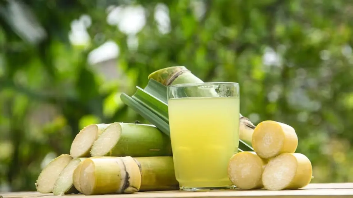Sugarcane Vinegar: सेब का नहीं, गन्ने का सिरका है सेहत का नया सुपरस्टार, मोटापे से लेकर कोलेस्ट्रॉल तक देगा राहत Sugarcane Vinegar Benefits For Health