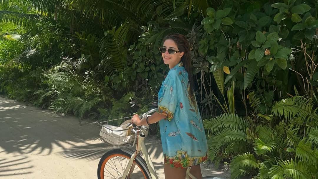 Description of the pic