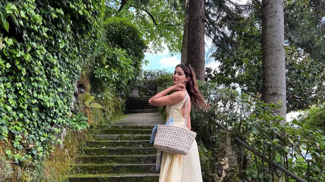 Description of the pic