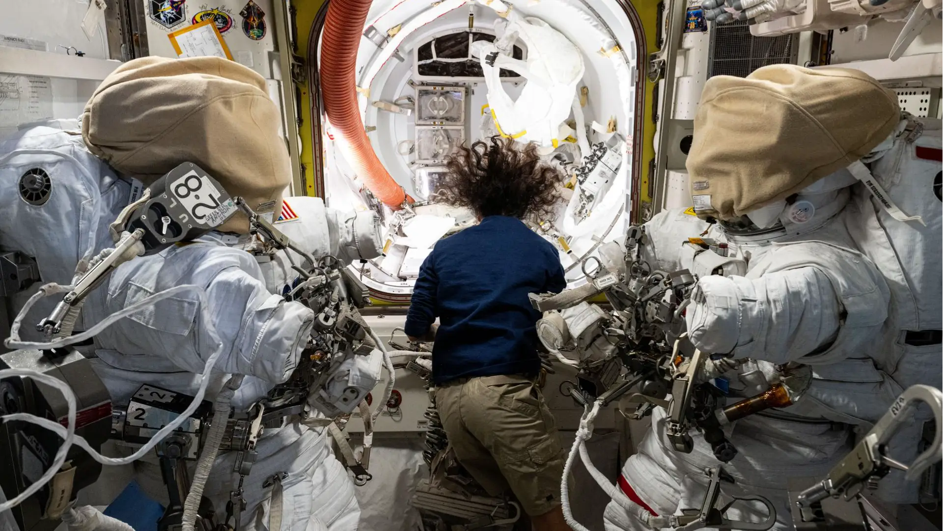 Description of the pic