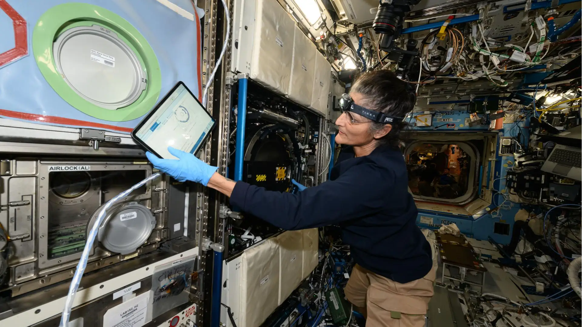 Description of the pic