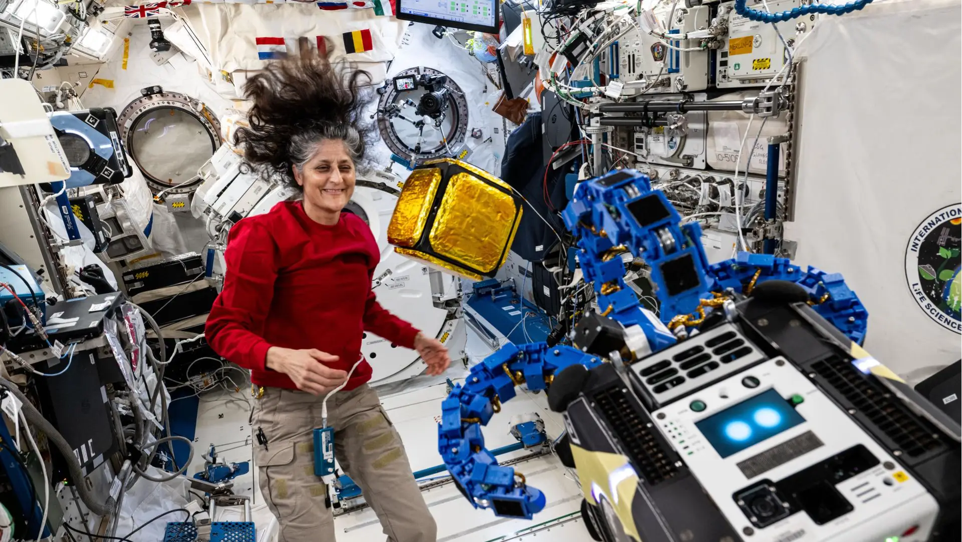 Description of the pic