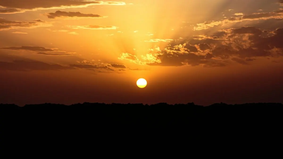 Sun Light: रोज सुबह 20 मिनट की धूप बदल सकती है आपकी जिंदगी, विटामिन D से लेकर हार्ट हेल्थ होगी बेहतर; पूरे दिन मूड भी मस्त रहेगा Sunlight for fuel