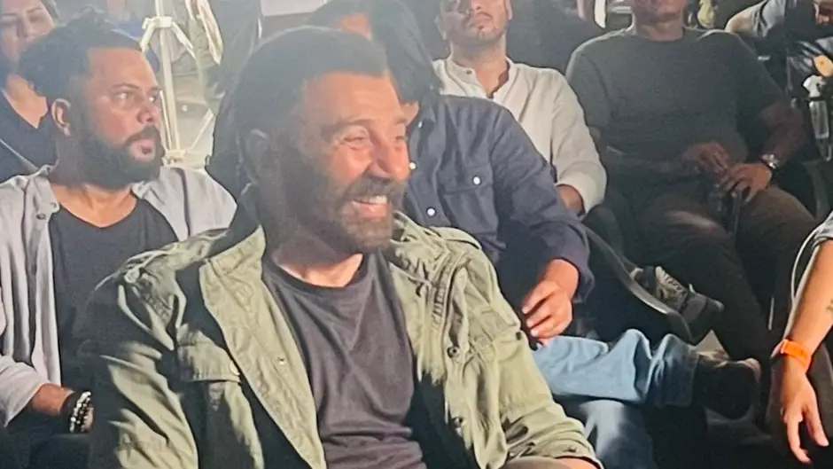 Description of the pic