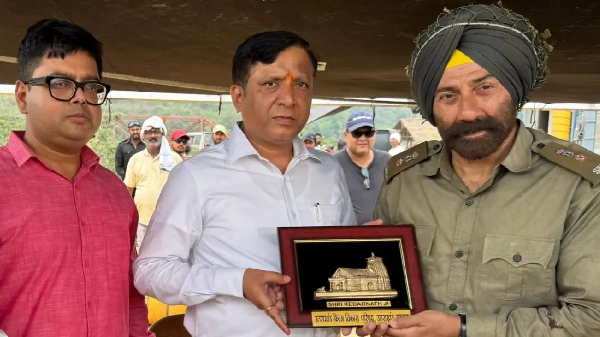 Description of the pic