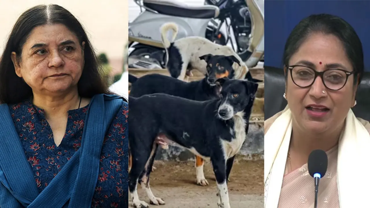 supreme court decision on stray dogs