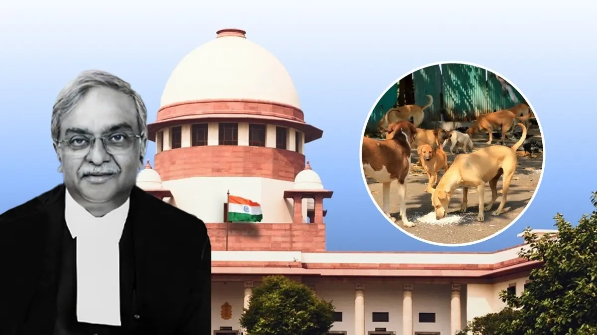 Supreme Court Judge Vikram Nath on Heading Stray Dogs Case