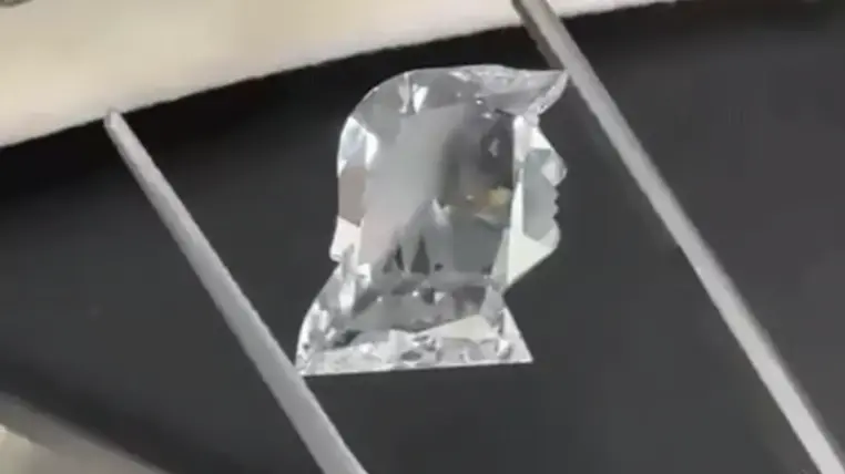 Surat Businessman Creates 4.30-Carat Diamond Replica Of Donald Trump As Special Gift Surat Businessman Creates 4.30-Carat Diamond Replica Of Donald Trump As Special Gift