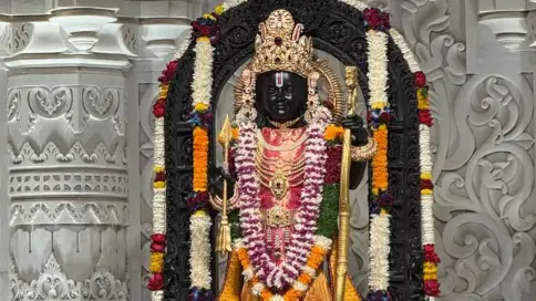 Description of the pic