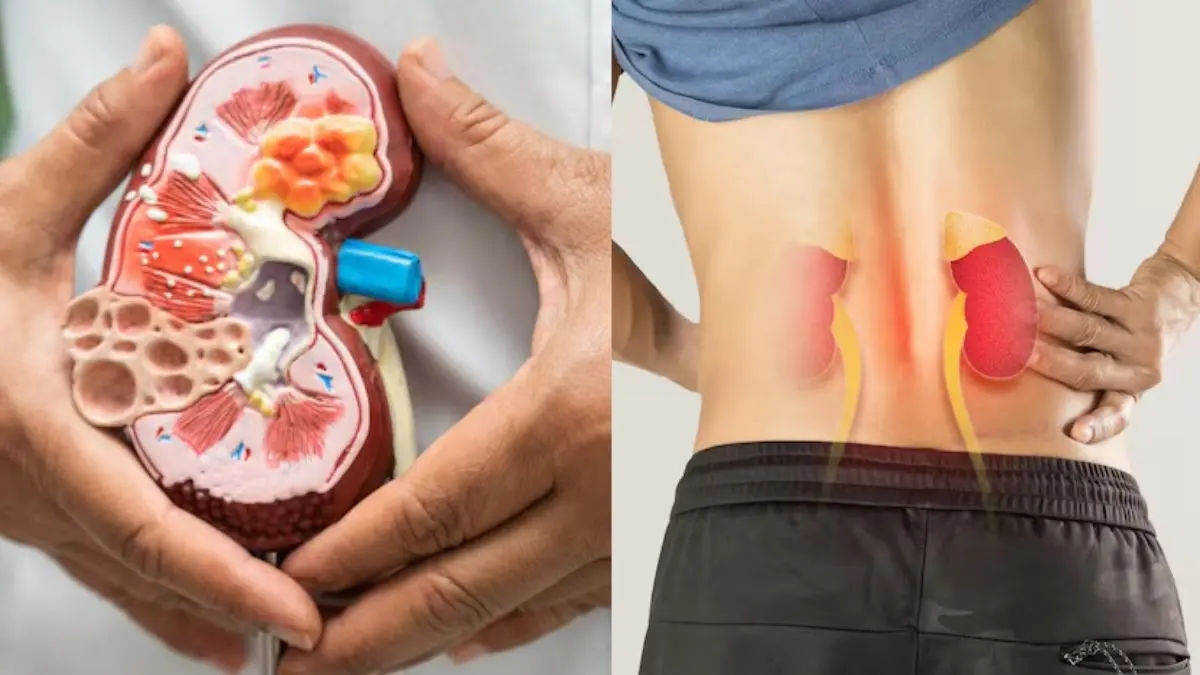 symptoms of kidney damage signs or health diseases