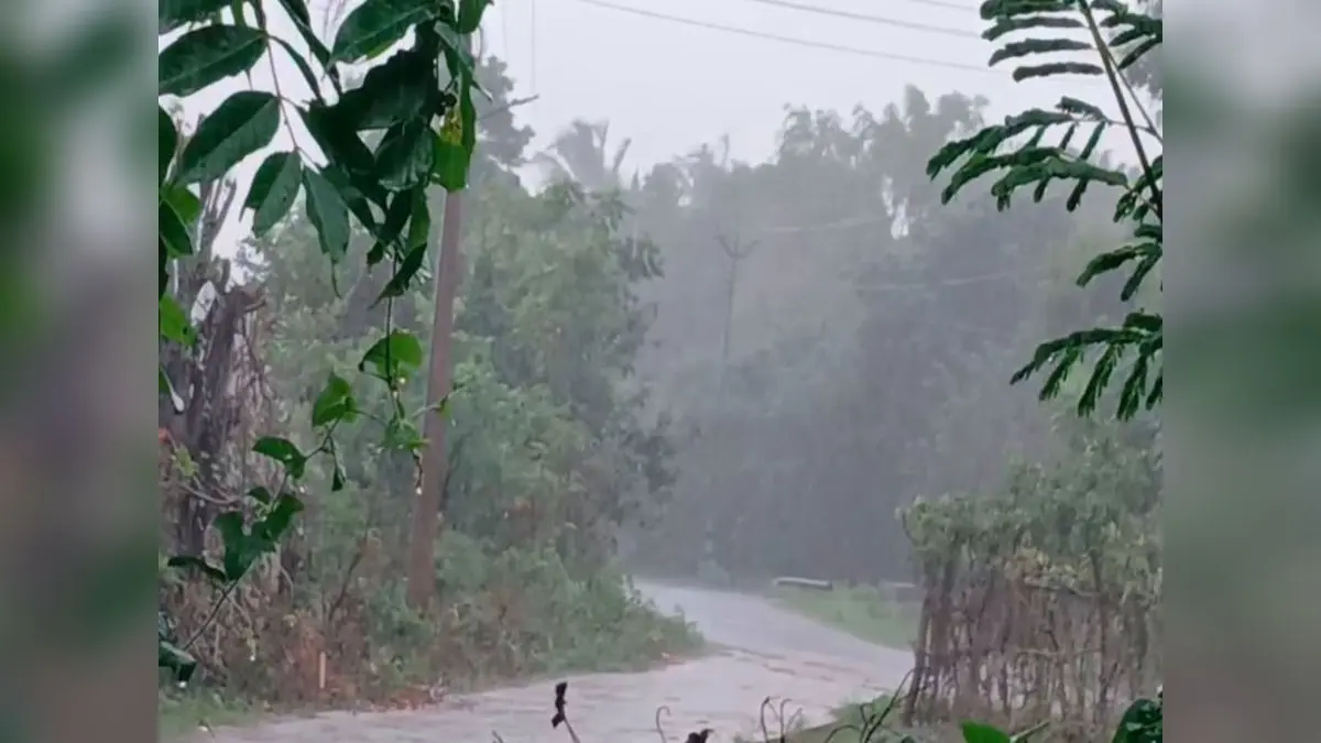 Tamil Nadu: IMD predicts light to moderate rain, thunderstorms in Kanyakumari, other districts