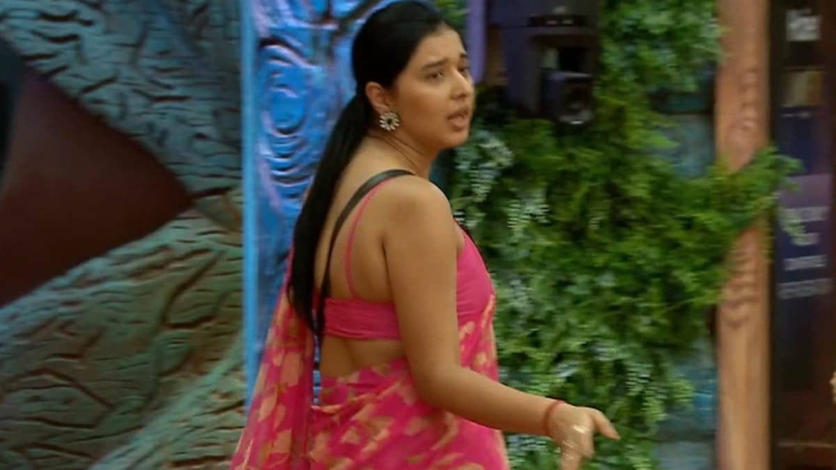 Description of the pic