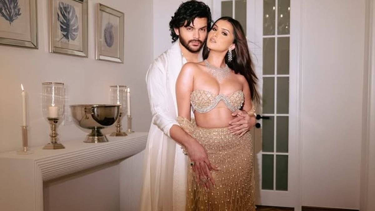 Description of the pic