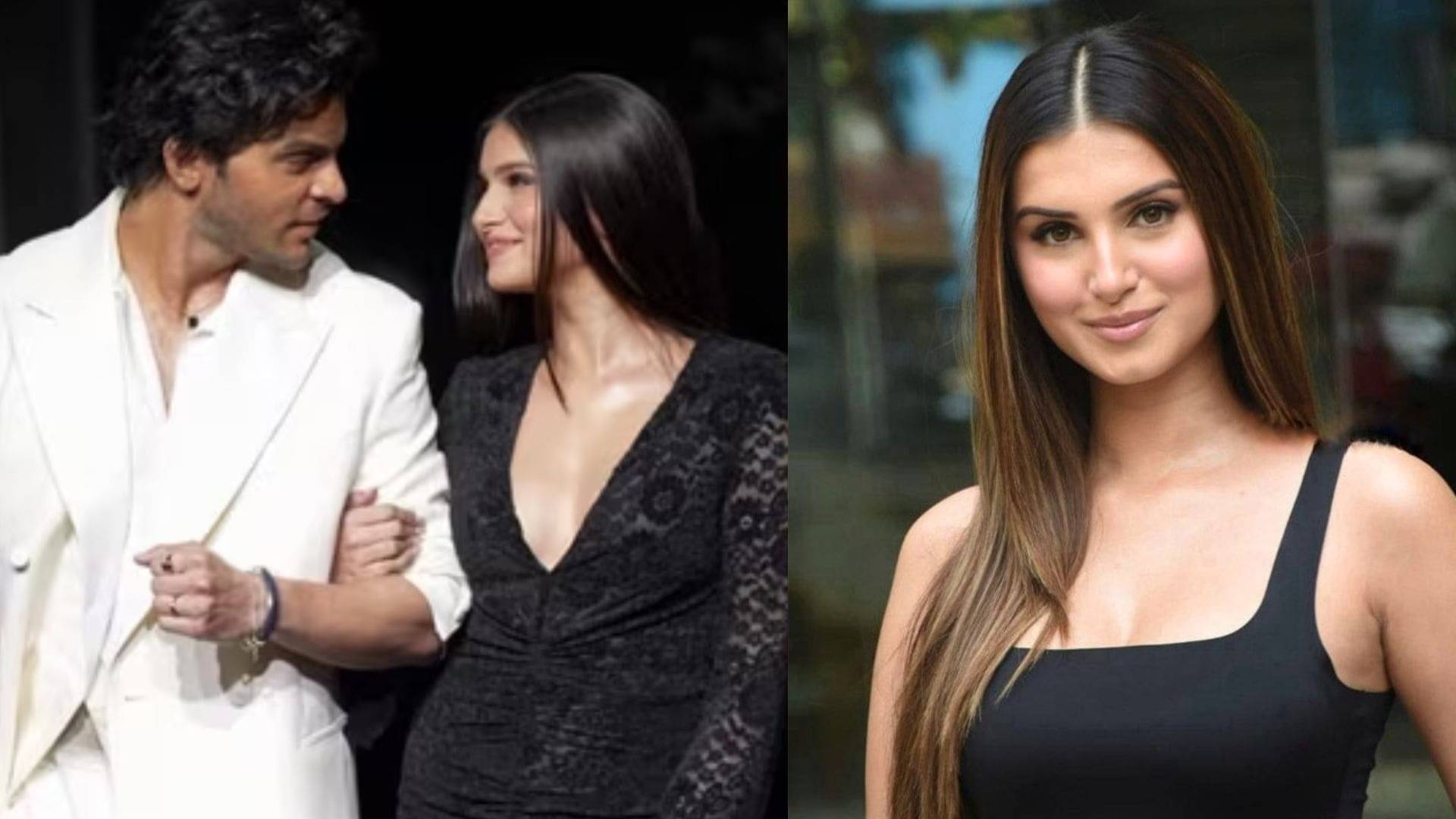 Description of the pic