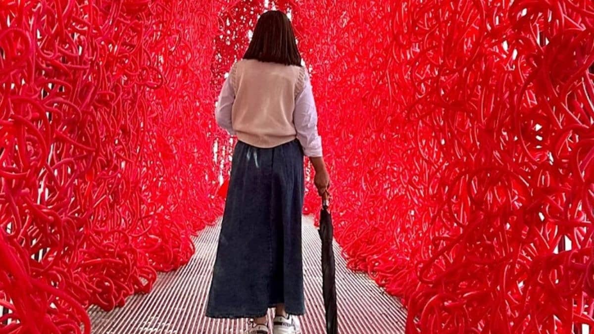 Description of the pic