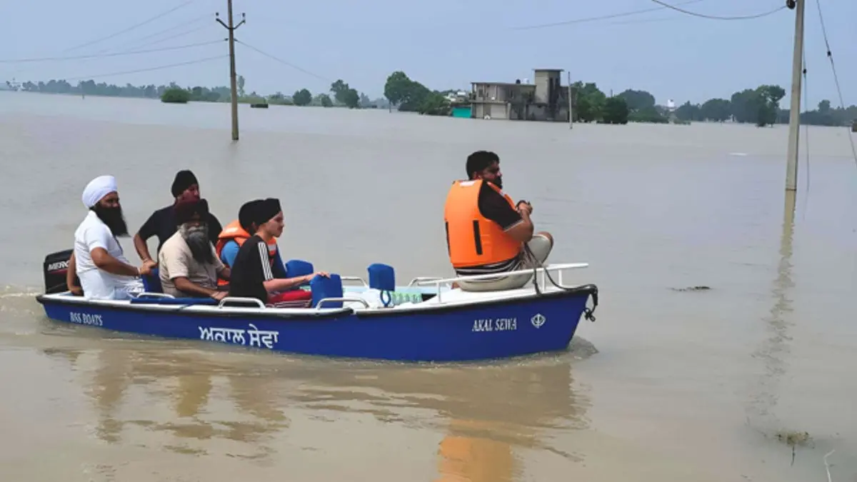 Tea Above the Floodline