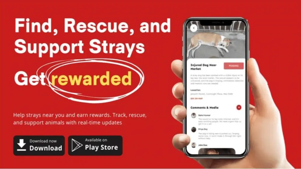 Tech Meets Activism: How Strayz is Transforming Stray Animal Welfare in India Tech Meets Activism: How Strayz is Transforming Stray Animal Welfare in India