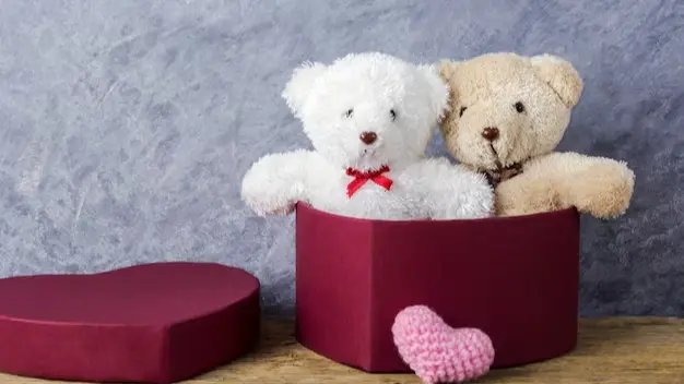15 फरवरी: ‘टेडी बियर’ से दुनिया की पहली मुलाकात, जानें इस दिन का इतिहास Teddy day 2025