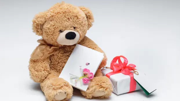 15 फरवरी : गोल मटोल मासूम ‘टेडी बियर’ से दुनिया की पहली मुलाकात Teddy Day 2025