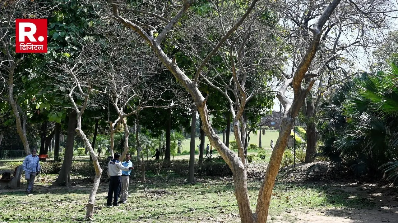 teenage boy and girl were found hanging from a tree, at Hauz Khas area