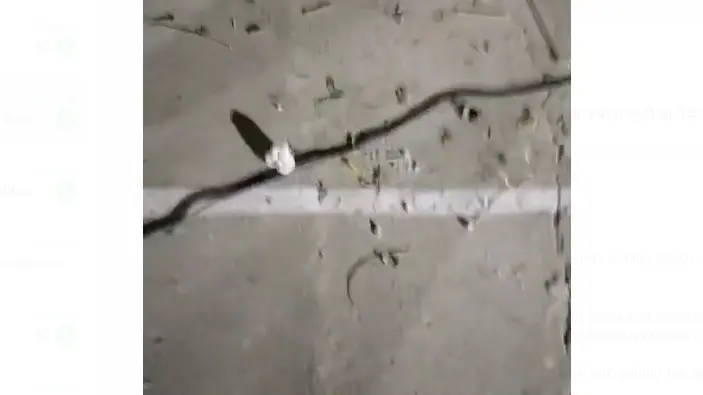 Tension at JNU as Posters of 'Sabarmati' Film Torn, Stone Pelted, Many Injured