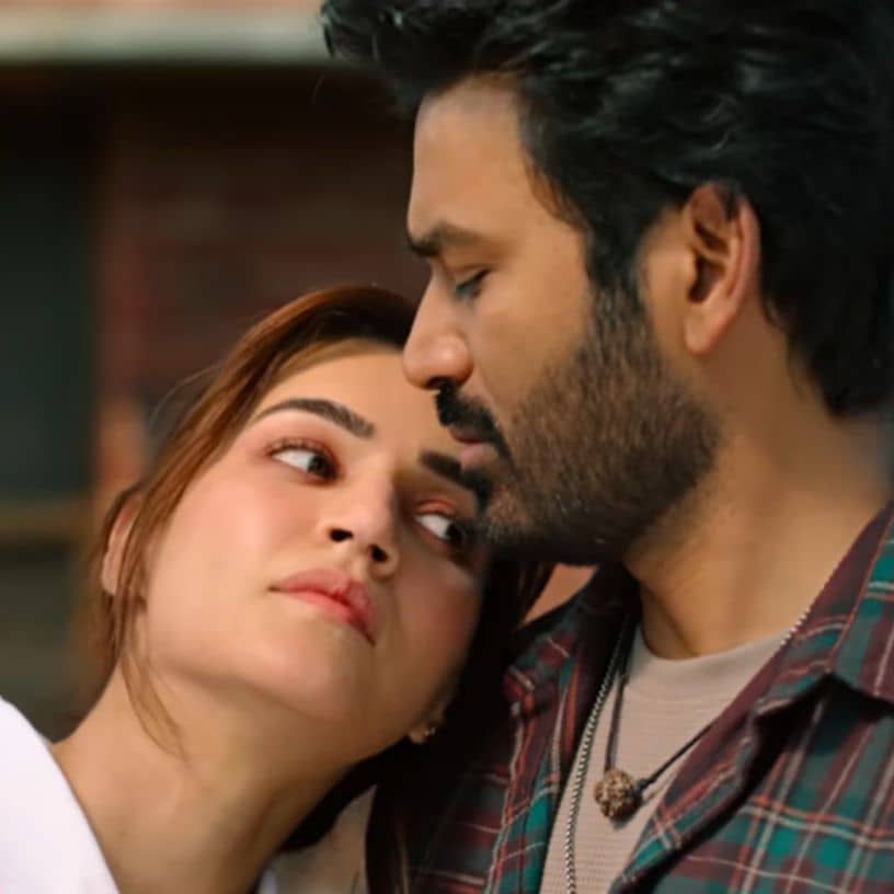 Description of the pic