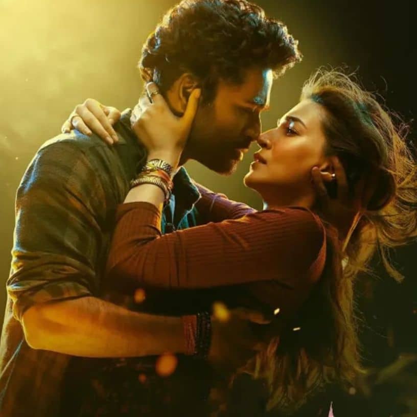 Description of the pic