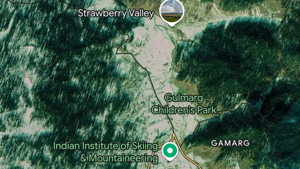 Terror attack in Gulmarg