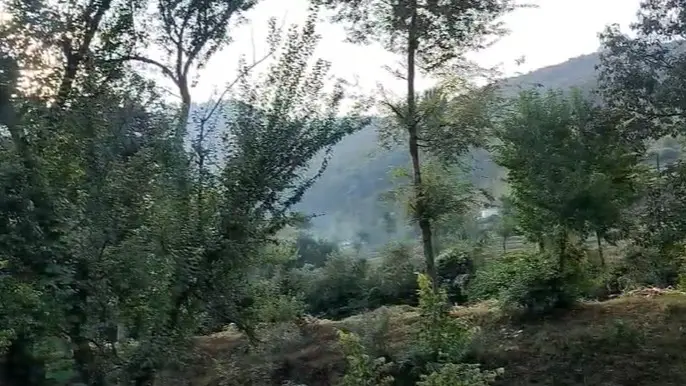 Terror hideout busted in Jammu and Kashmir's Poonch