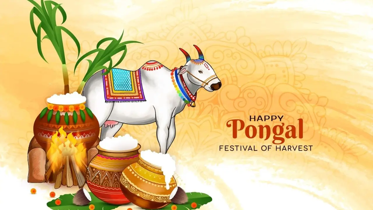 Thai Pongal, Mattu Pongal And Kaanum Pongal 2026: Know Date, Timings, Rituals And Significance