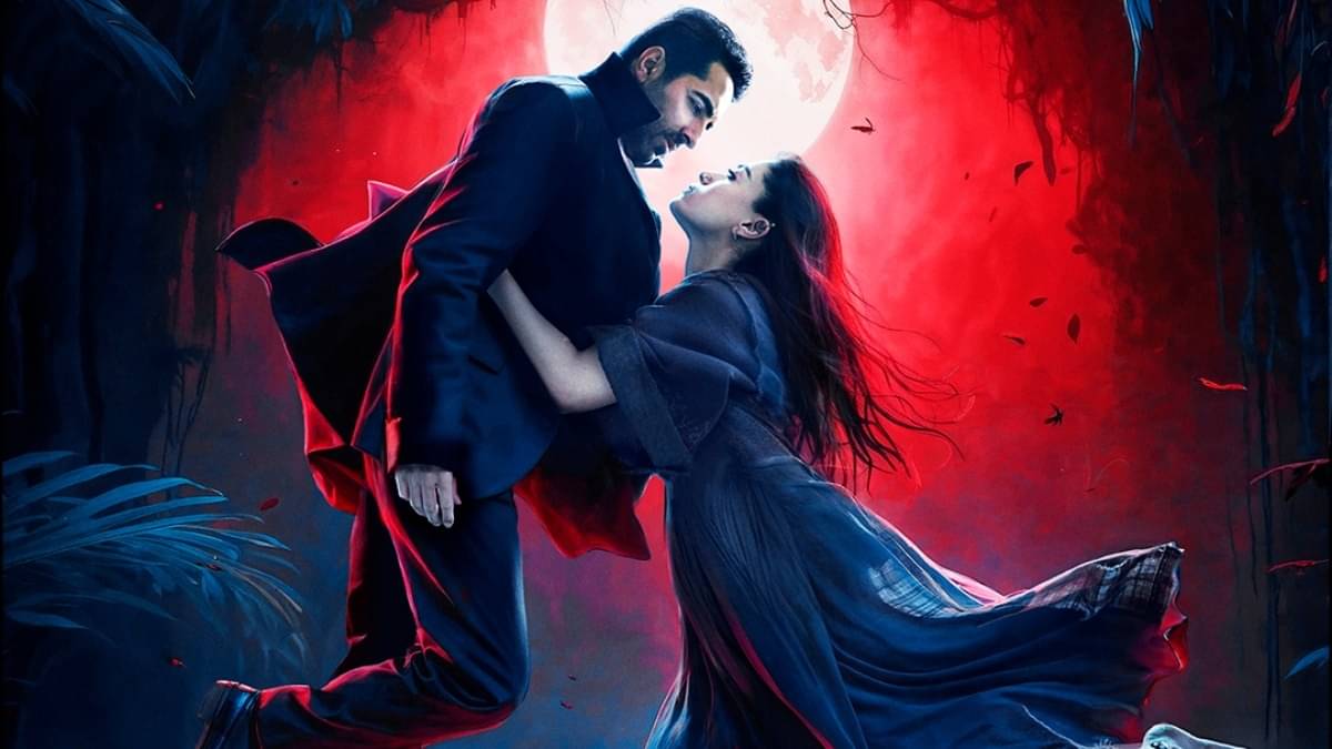 Description of the pic