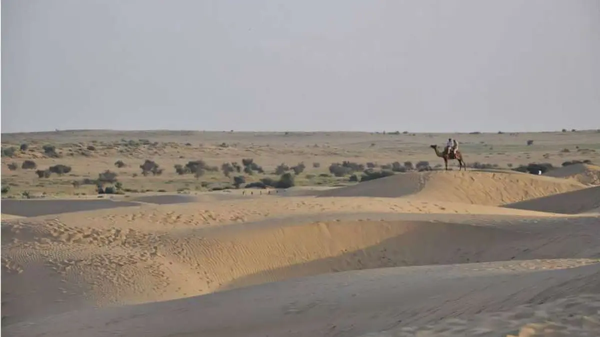 Thar Desert Turns Greener: Study Finds 38% Rise in Vegetation