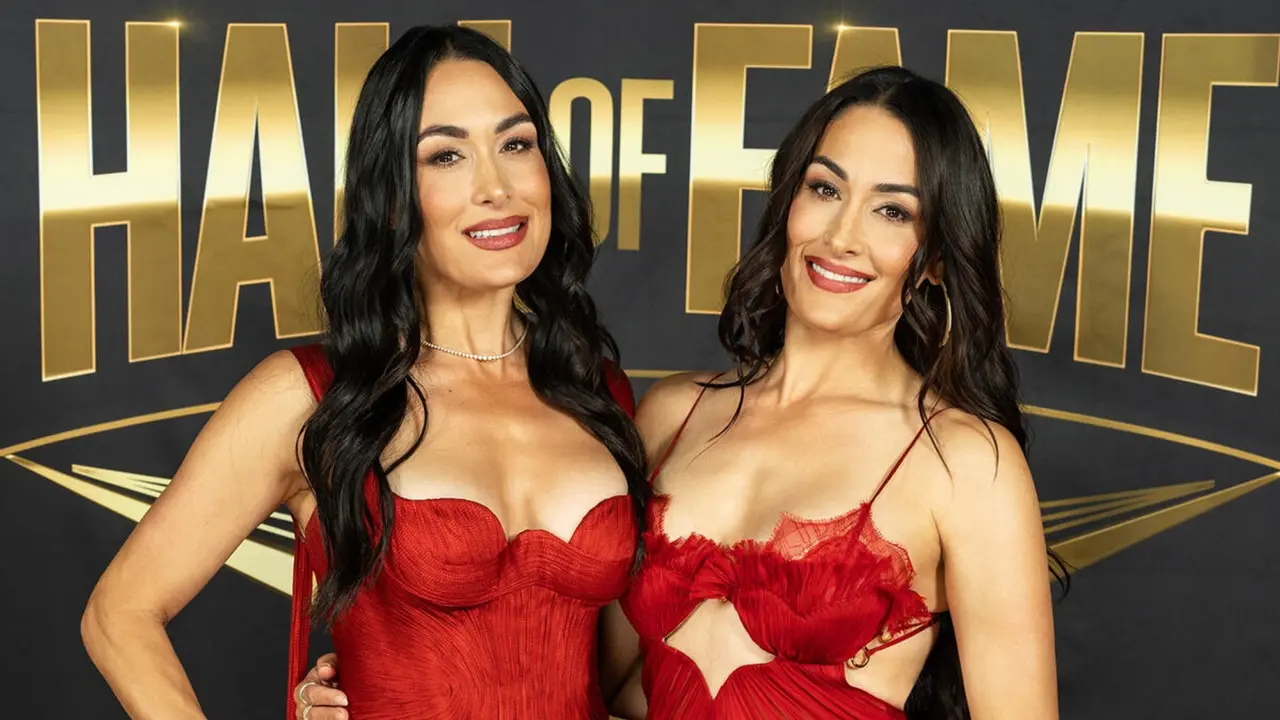 The Bella Twins