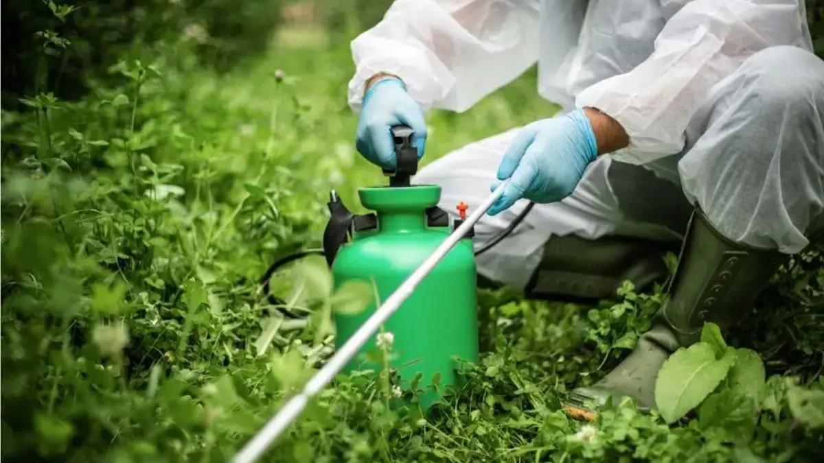 The growing menace of pesticides in agriculture