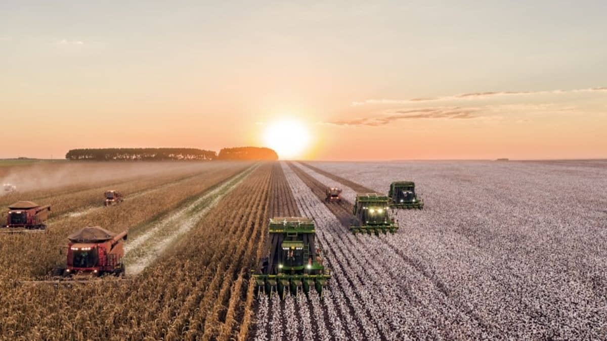  The latest restructuring move at UPL Ltd will lead to the creation of the second largest crop protection firm.