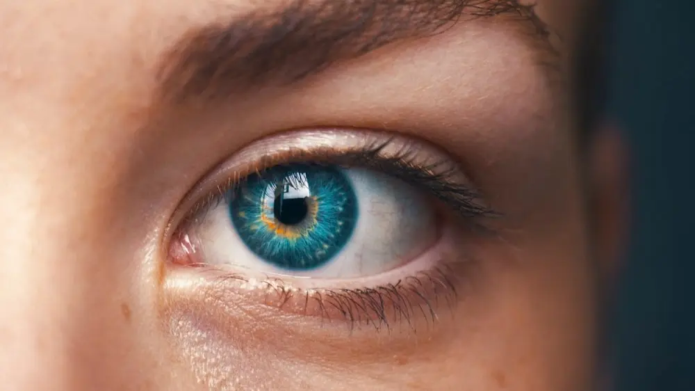 Pupil Size Key Behind How Your Memory Is Processed: Study The pupil link to your strong mermory.